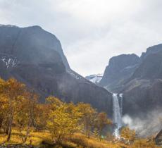 长白山生态植物园