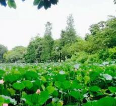 黄埔区中山公园