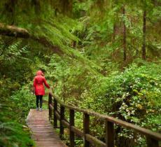 阳坝自然风景区