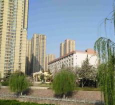 金水河