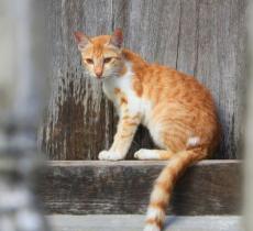 江畔路江畔公园