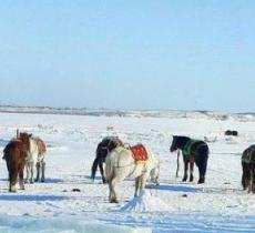 龙珠二龙山滑雪场