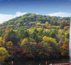 白鸡峰森林公园