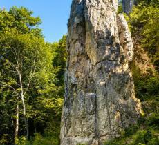 驿马山国家森林公园