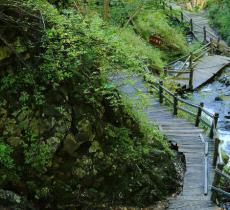 凤凰山国家森林公园