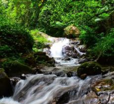 焉支山森林公园