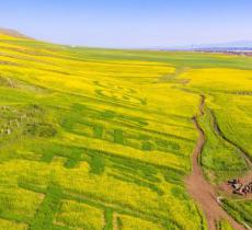 扁都口生态休闲旅游区
