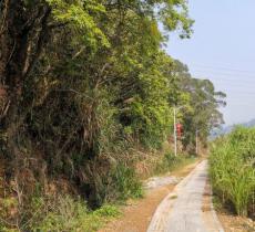 江口蒜溪生态公园