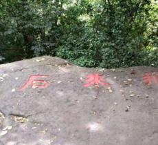 飞来石