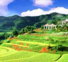 杨树沟风景区