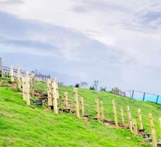 马洋溪生态旅游区