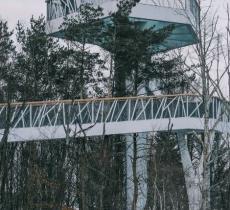 长白山美人松空中廊桥公园