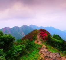 通天蜡烛山