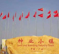 种业小镇