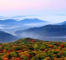 金龙山国家森林公园