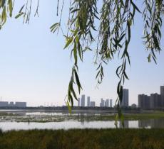 杨春湖
