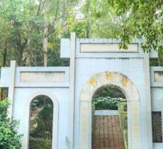 滴水岩森林公园