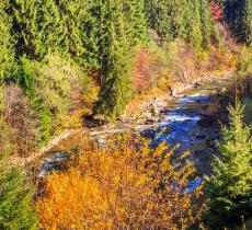 吐鲁沟国家森林公园