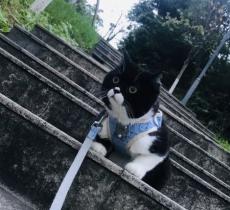 甘竹山公园