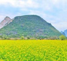 田心村
