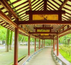 紫阳公园