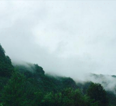 延边白河自然保护区