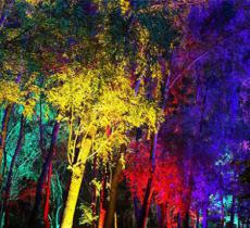 豫西大峡谷风景区