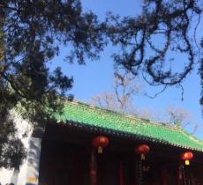 达摩院