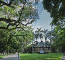 中山大学(北校区)-中山医科大学...