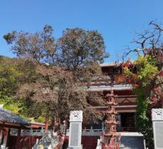 圆明山旅游度假区