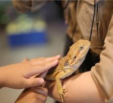 萌宠奇缘室内主题动物园