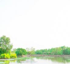 南沙湿地公园二期