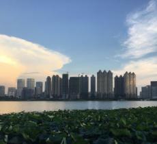 放鹰桥