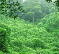 桃源涧