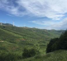 石龙山森林公园