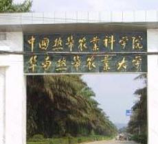 海南热带作物研究所