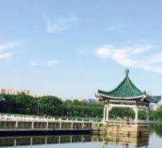 疑海听涛
