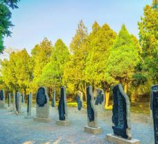 殷墟甲骨文碑林