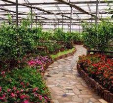 农垦香坊农场旅游区