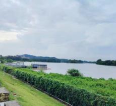 米岗村美丽乡村玫满园