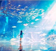 大使环礁湖