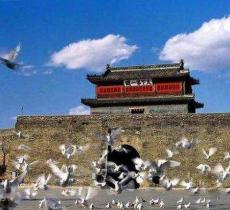 世外桃源