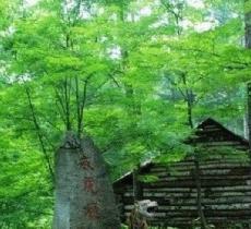 威虎山森林公园