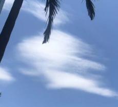 羊城同创汇