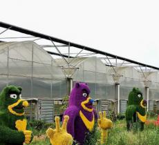多肉植物主题公园
