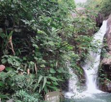 白水仙瀑