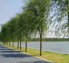 象湖生态湿地公园