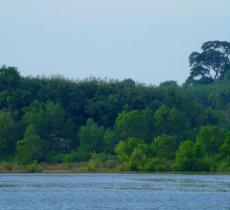 呼兰河口湿地公园