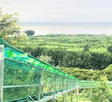 孤柏渡黄河塬休闲旅游区