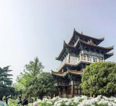 王城公园赏牡丹